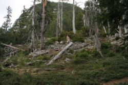 2011-04-24_Regina-F-Rau_Brunnstein-Spitze (053).JPG